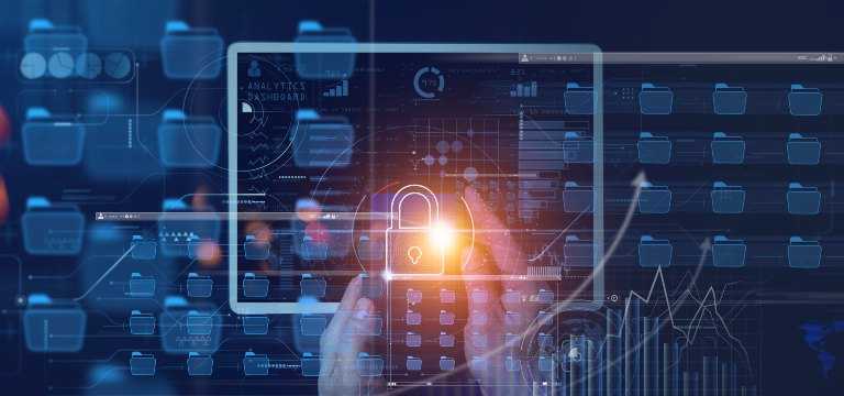 Decoding the Business Advantage of Digital Privacy for Customers